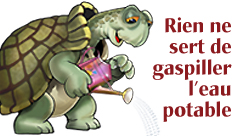 2010-tortue-bouton web 248x136.jpg 2010-tortue-bouton web 248x136.jpg