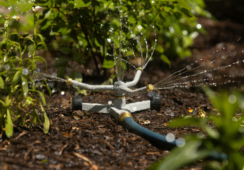 Gazon, plates-bandes et potagers!